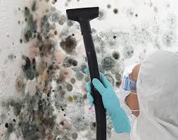 Best Industrial Mold Remediation  in River Falls, WI